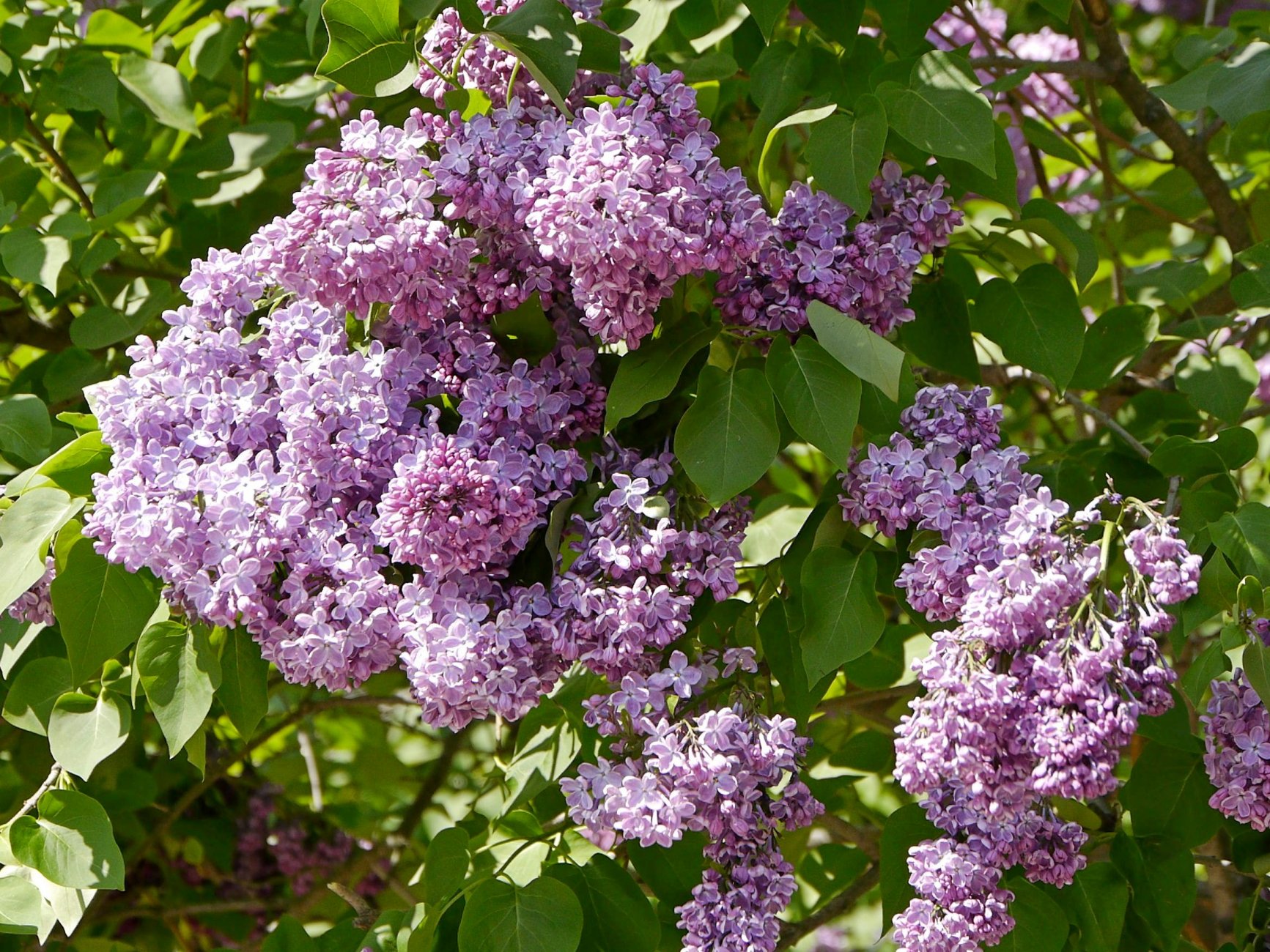 _1050607.jpg