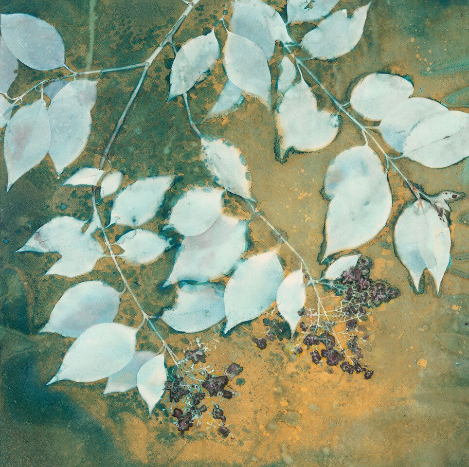 a-sky-of-honey-web.jpg
