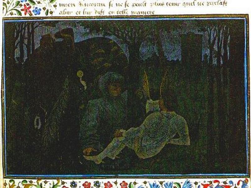 A8653бартелеми дЭйк. прованс.jpg