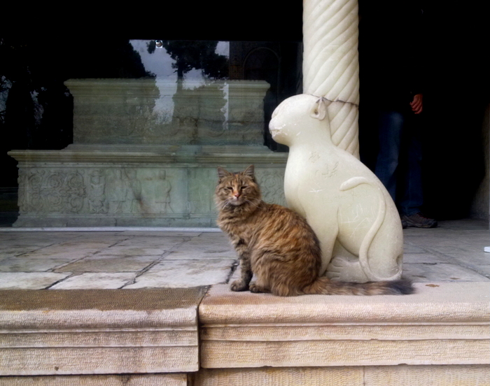 A_Persian_Cat_beside_Naser_al-Din_Shah_gravestone.jpg