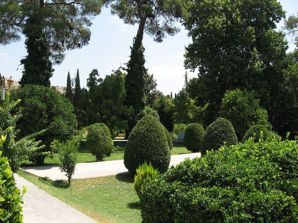 Ali_0059.jpg