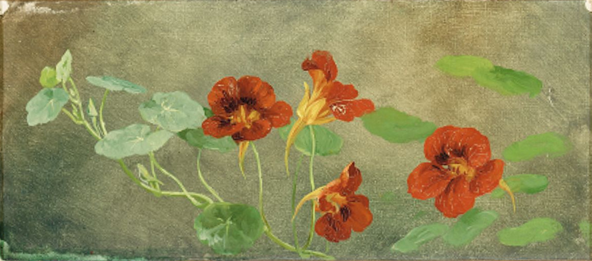 Anthonore_Christensen_-_Tallerkensmækkere (1).png