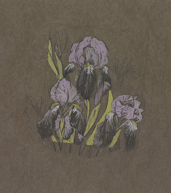 Baumann, Gustave irisesgraphite and tempera on brown wove paper.jpg