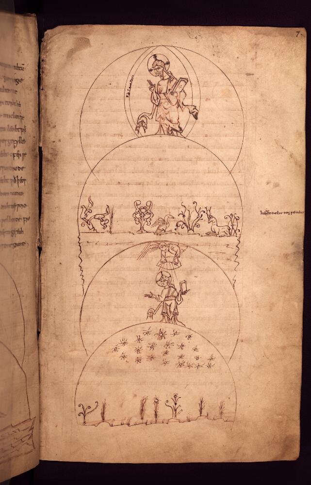 Bodleian_Libraries,_Cædmon_Manuscript_7.jpg