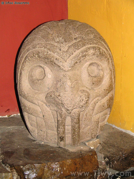 cabezas_clavas3.jpg