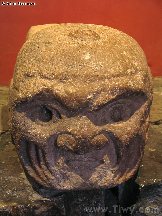 cabezas_clavas7.jpg