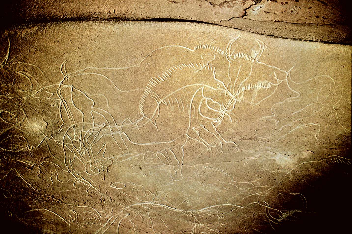Cussac Cavehorsebisoncussac.jpg
