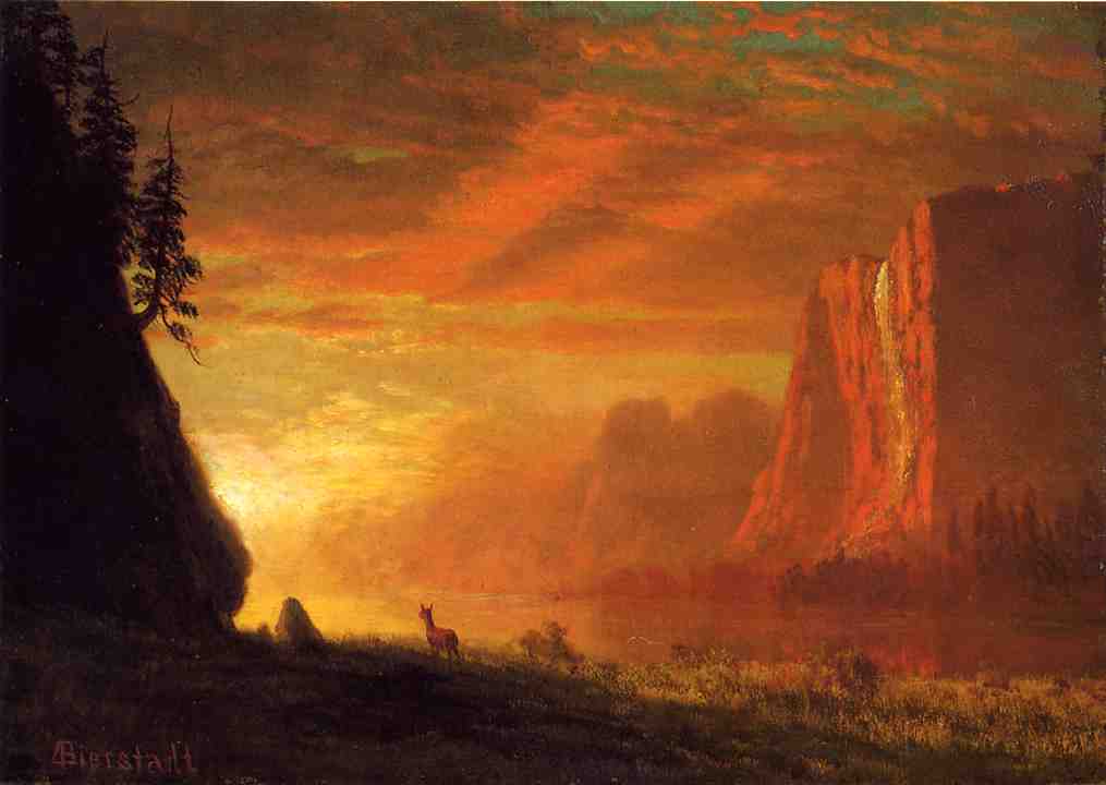 deer-at-sunset.jpg