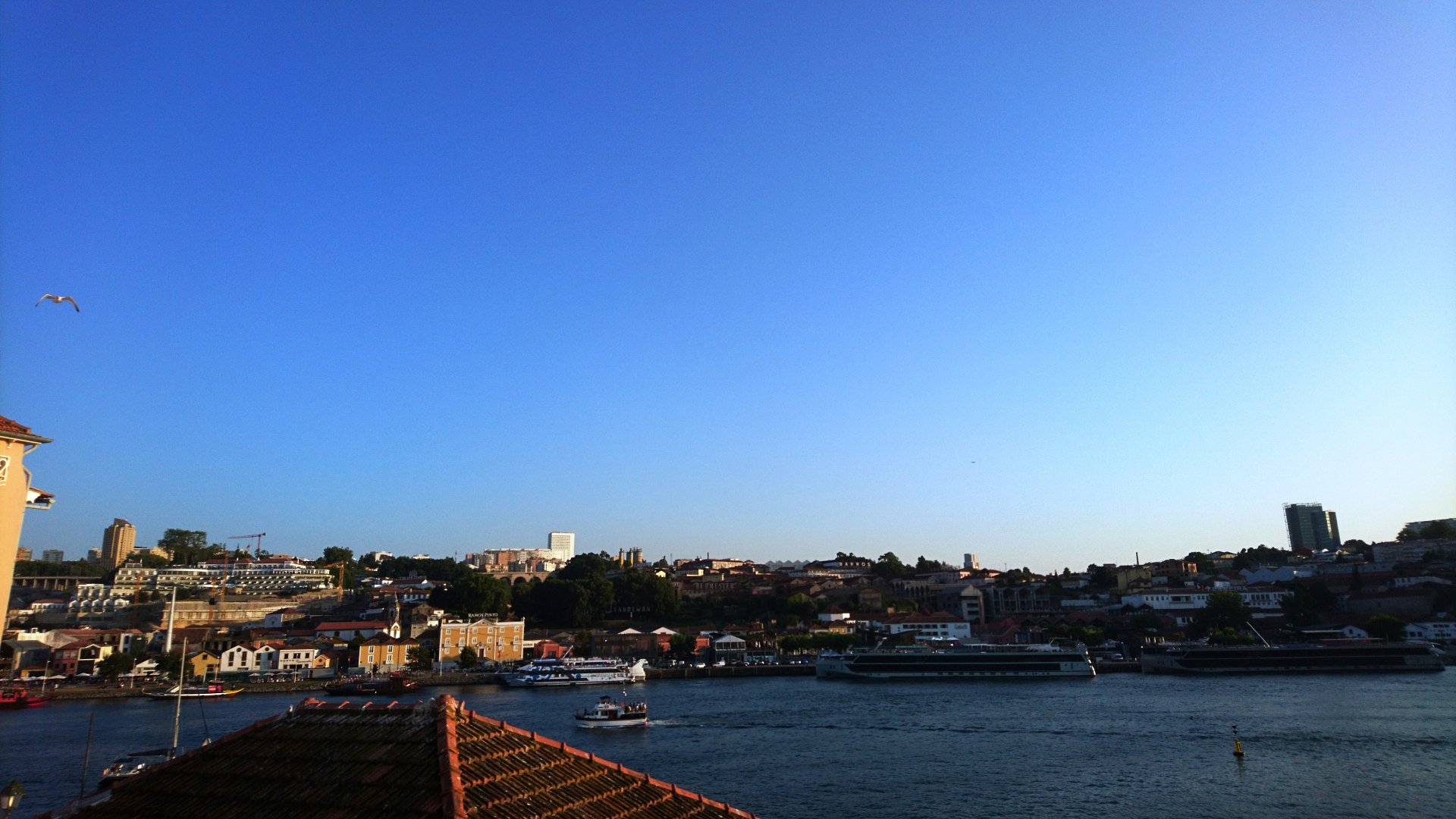DSC_1494.JPG