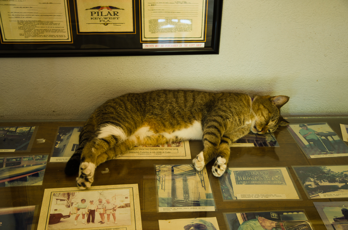 DSC_4549.jpg