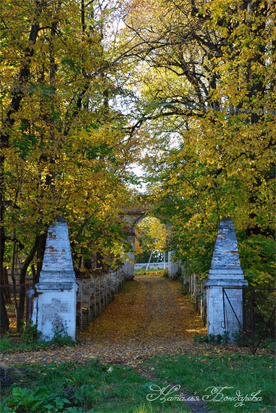 dsc_5087-copy.jpg