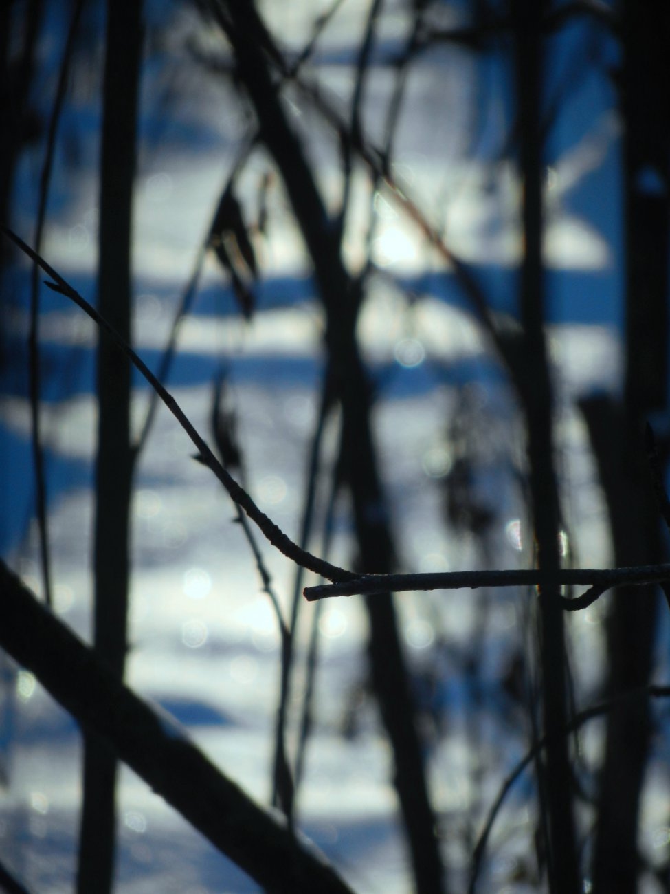 DSCN0288.JPG