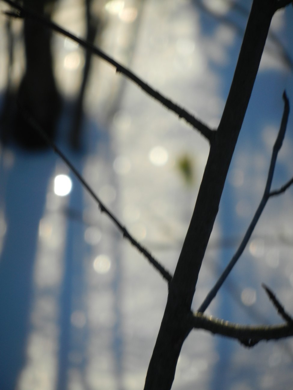 DSCN0289.JPG