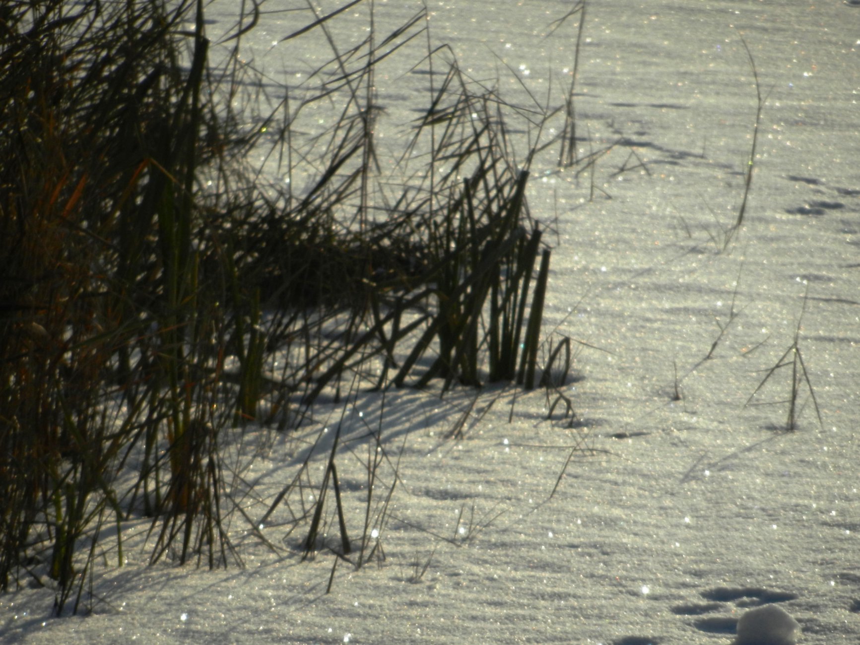 DSCN0334.JPG