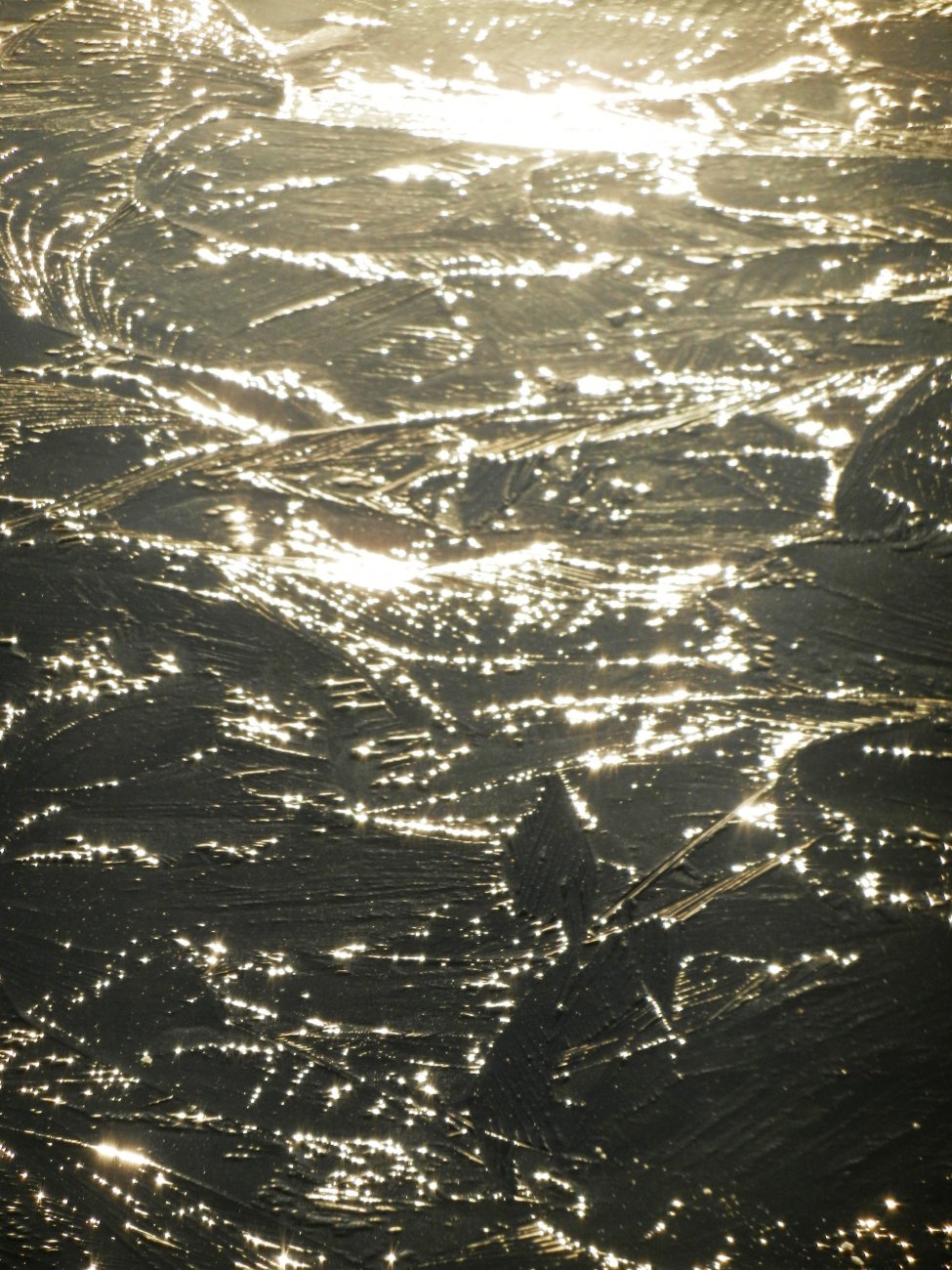 DSCN0484.JPG