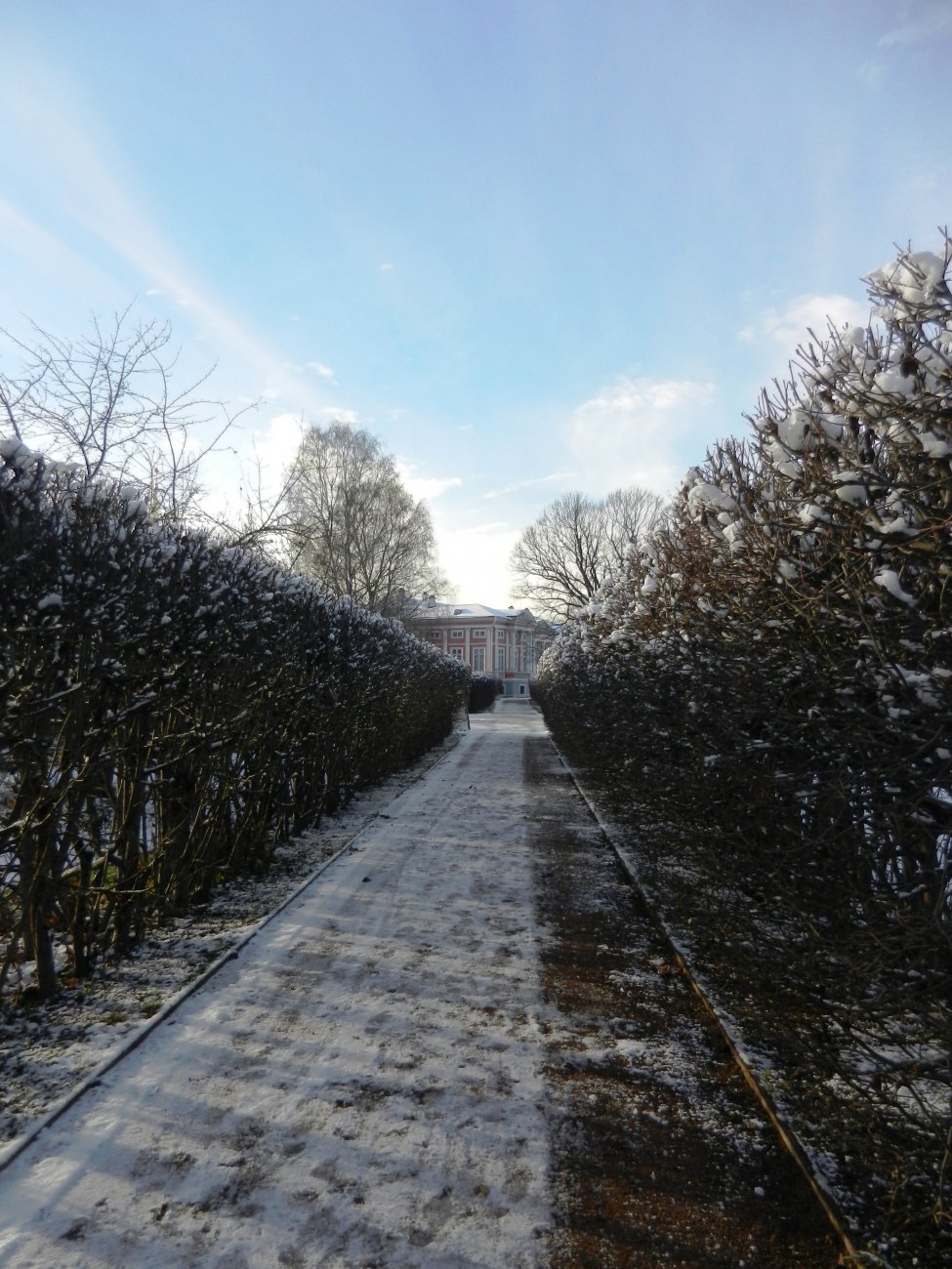 DSCN0487.JPG
