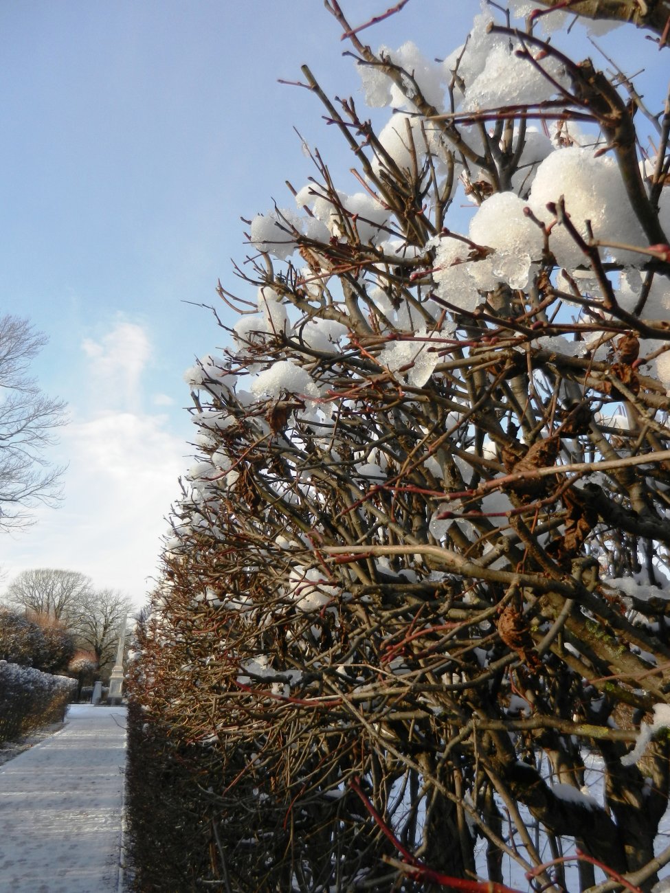 DSCN0493.JPG