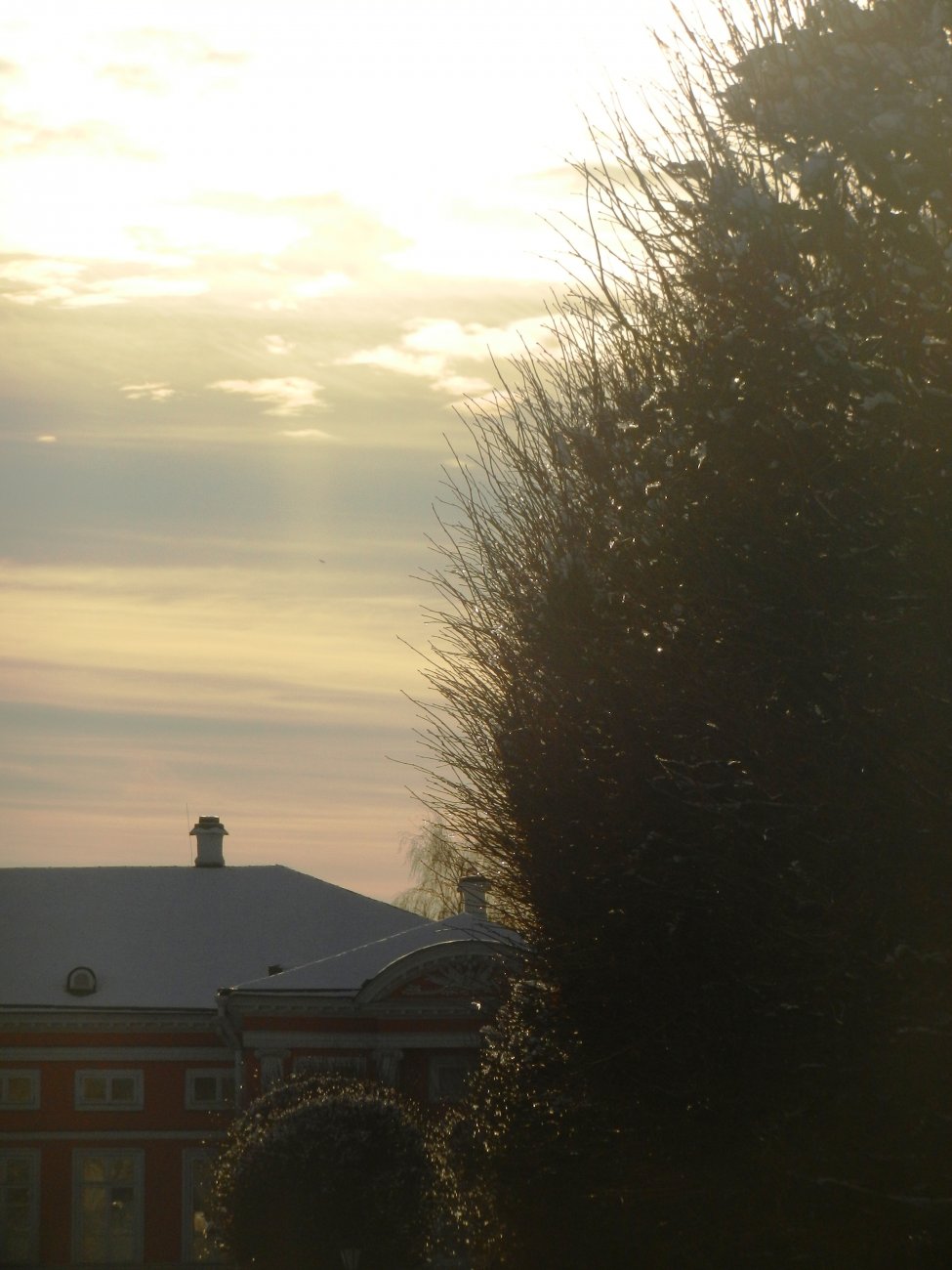 DSCN0502.JPG