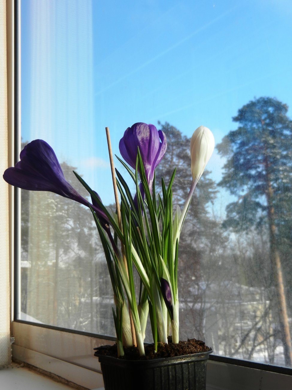 DSCN0502.JPG