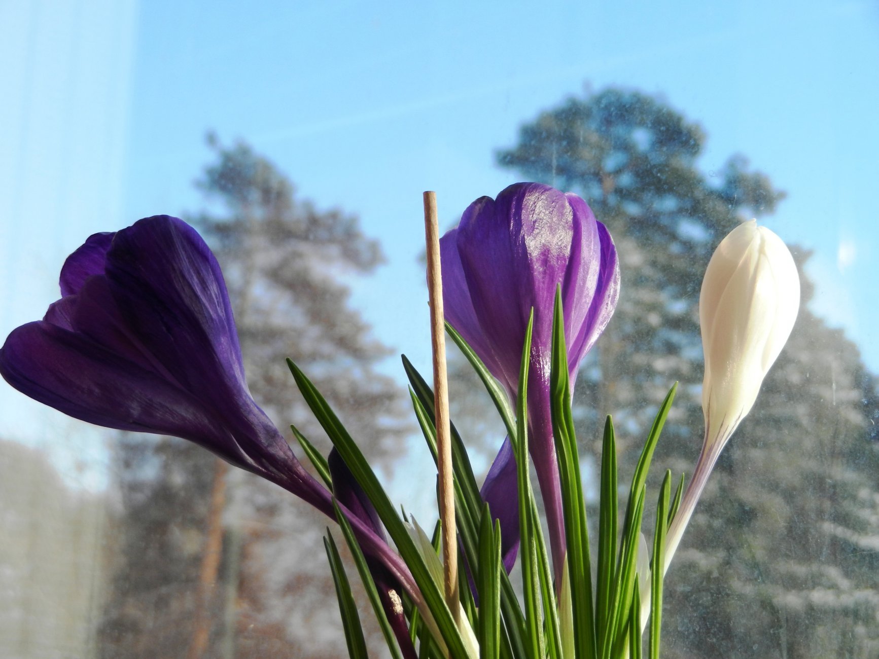 DSCN0505.JPG