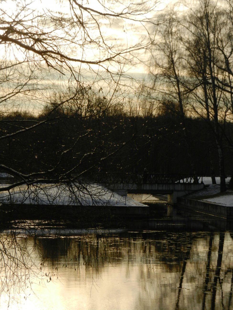 DSCN0509.JPG