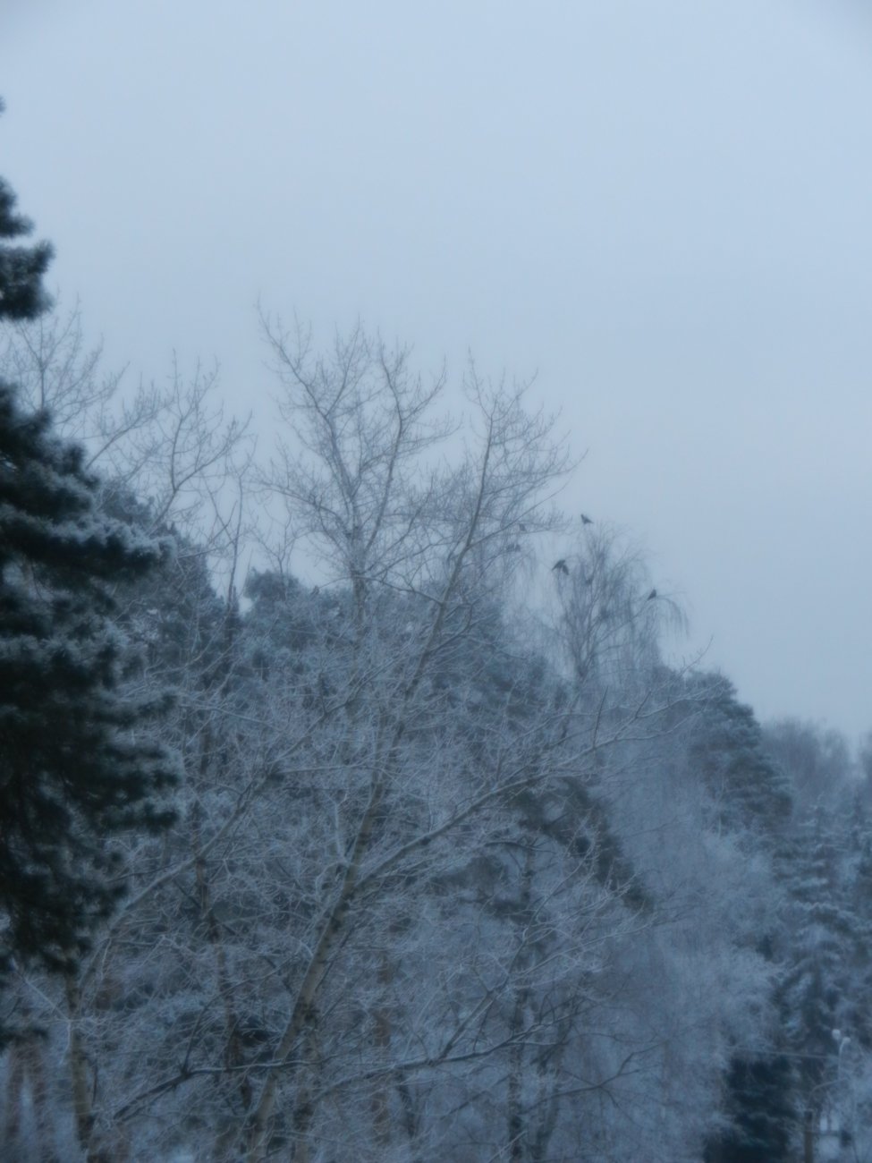 DSCN0532.JPG