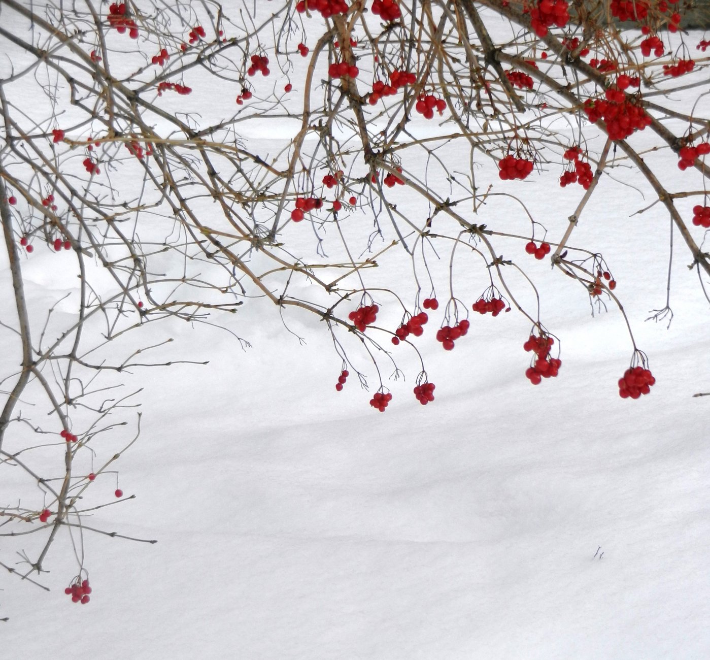 DSCN0545.JPG