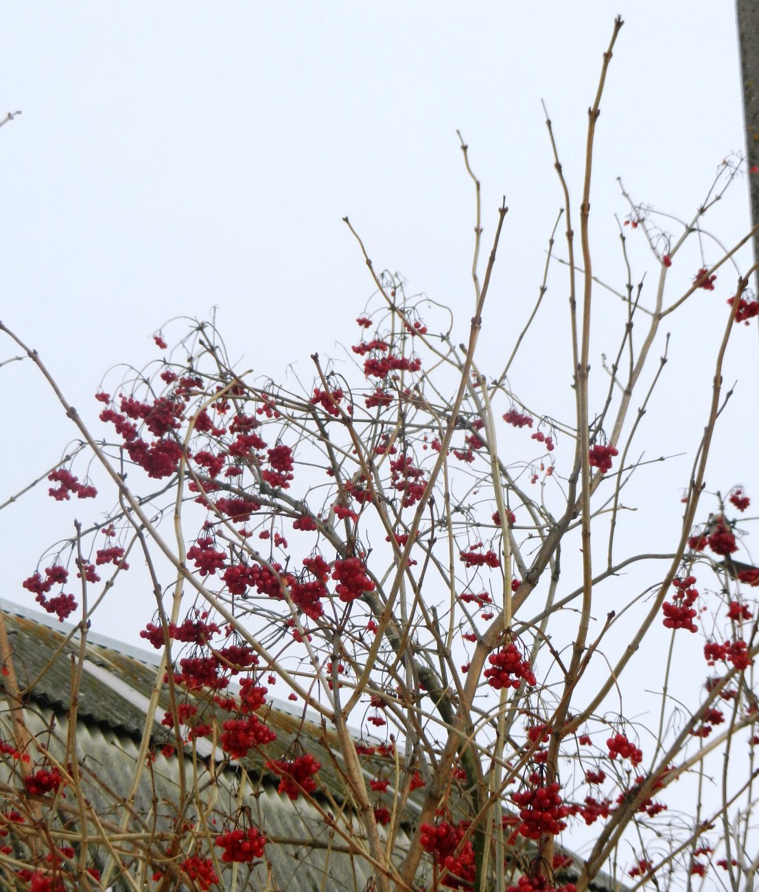 DSCN0547.JPG