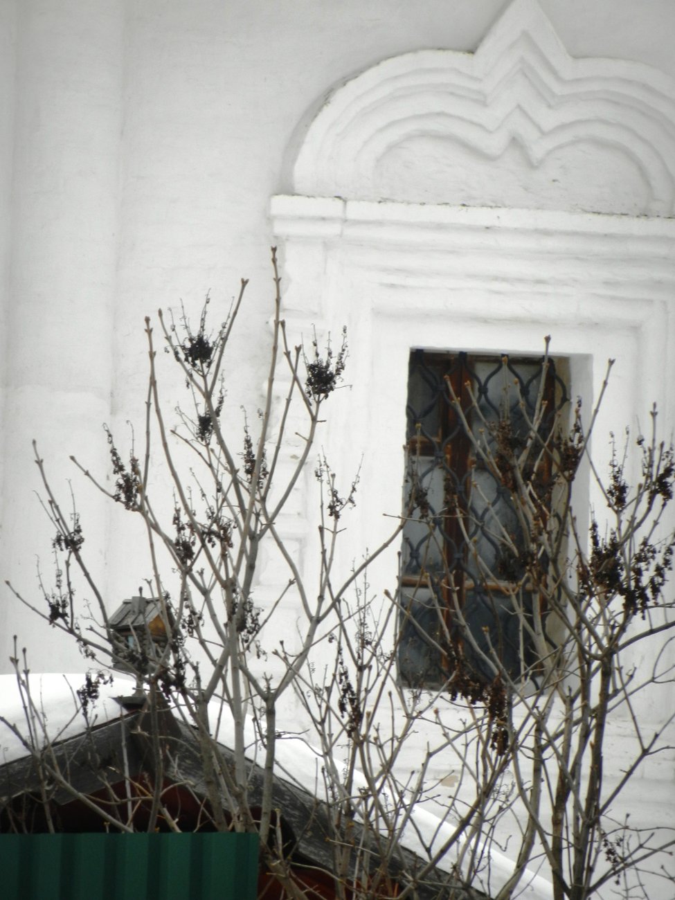 DSCN0583.JPG