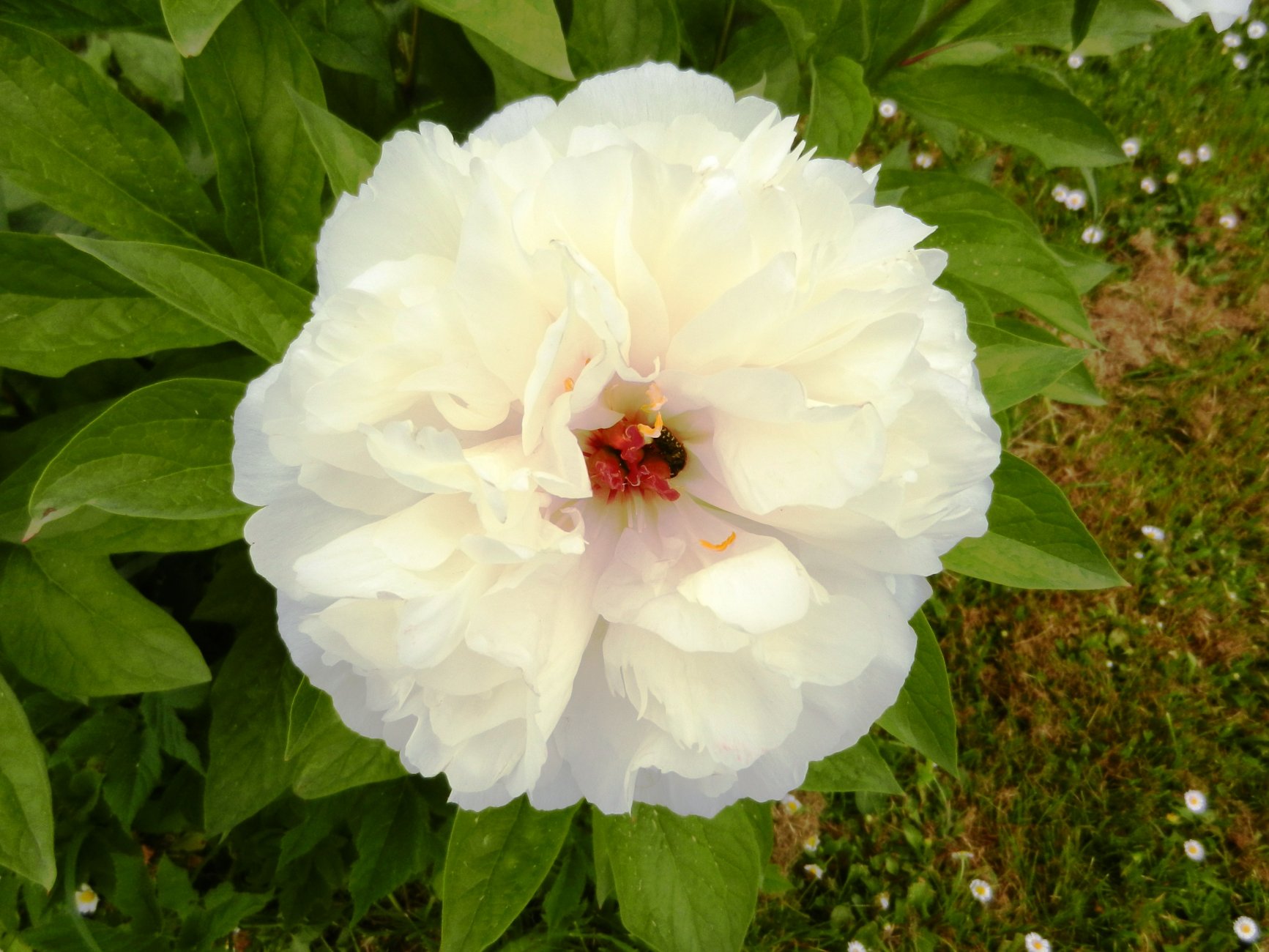DSCN0855.JPG