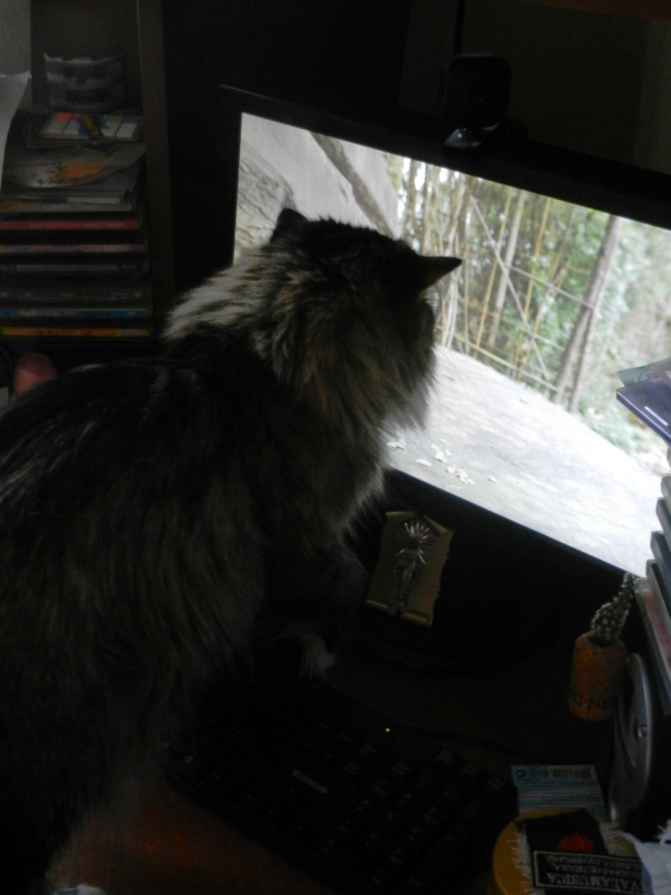 DSCN0903.JPG