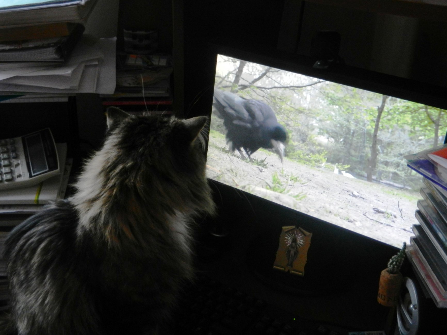 DSCN0909.JPG