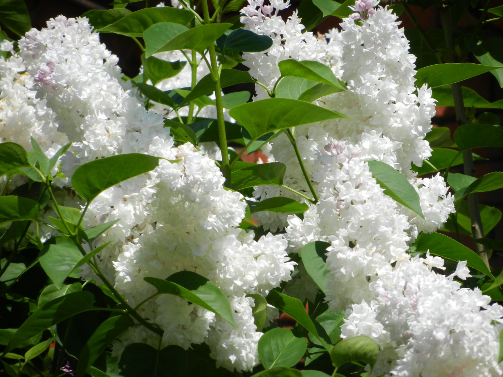 DSCN1405.JPG