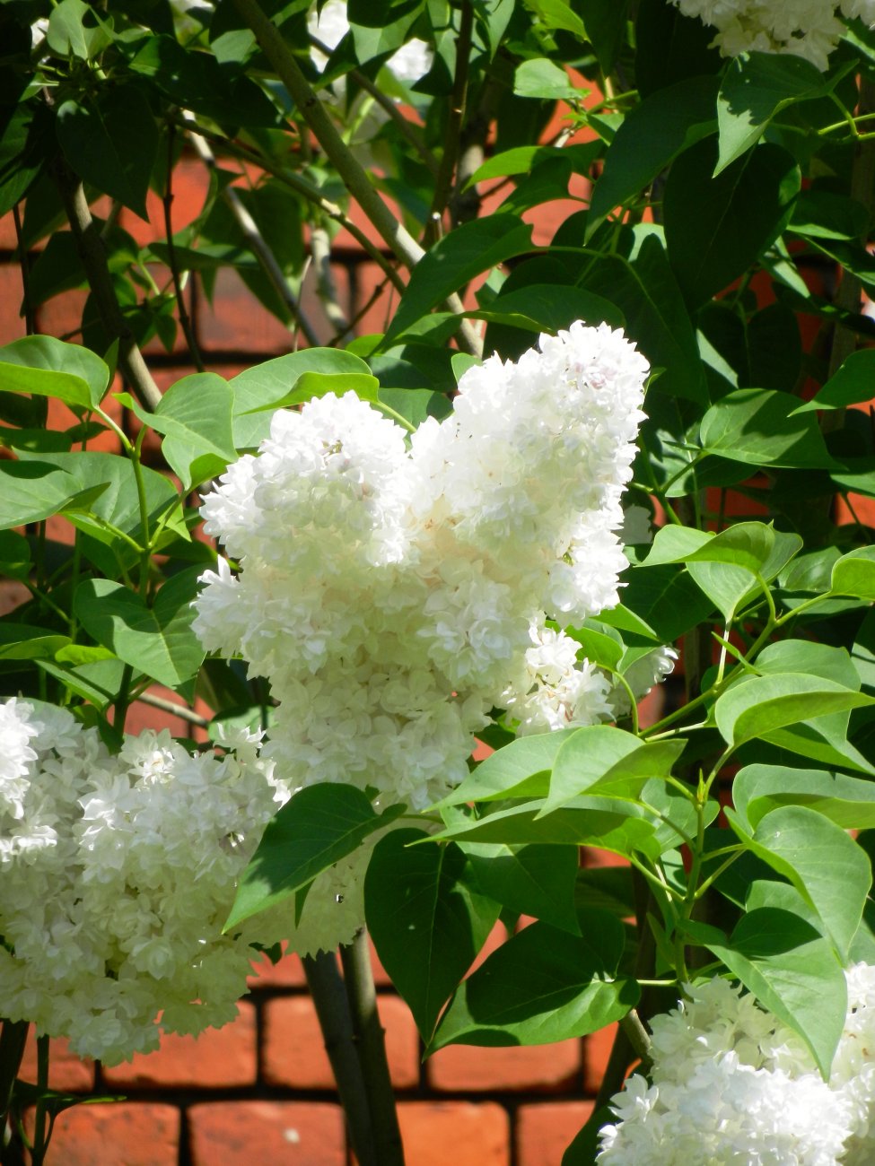 DSCN1407.JPG