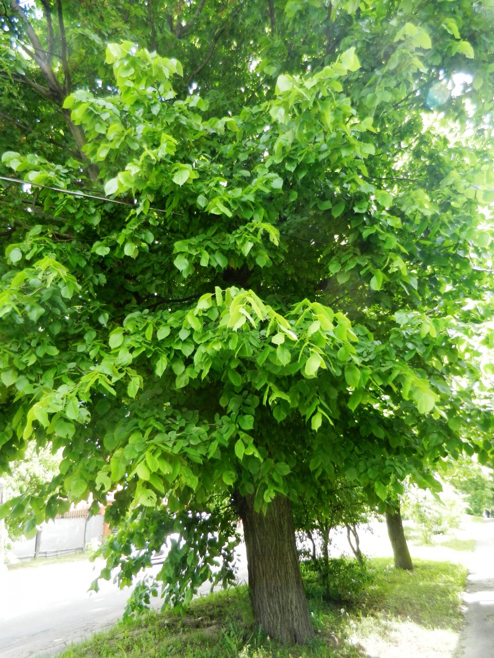 DSCN1415.JPG
