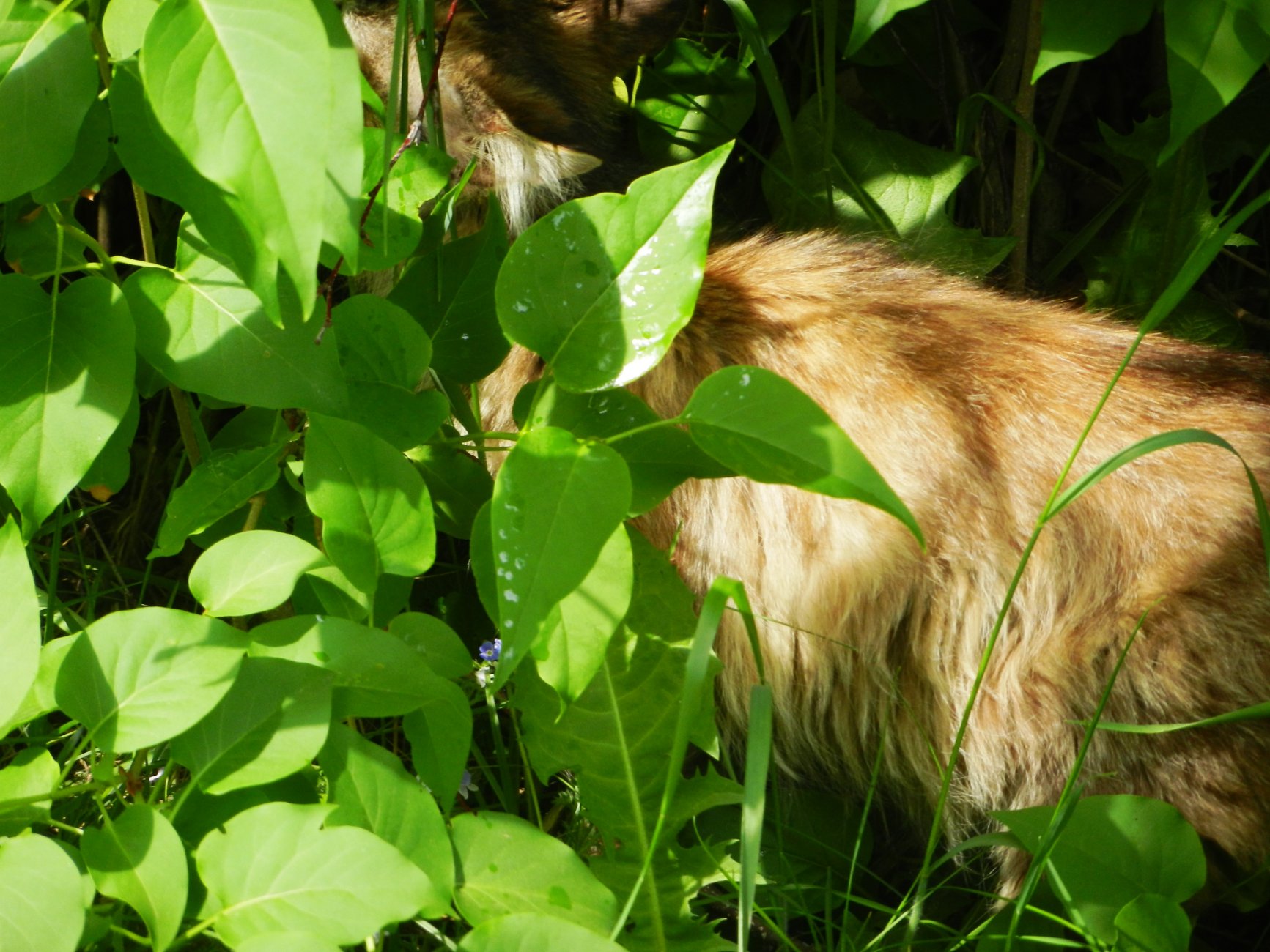 DSCN1418.JPG