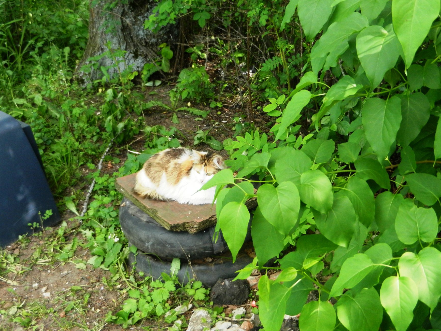 DSCN1424.JPG