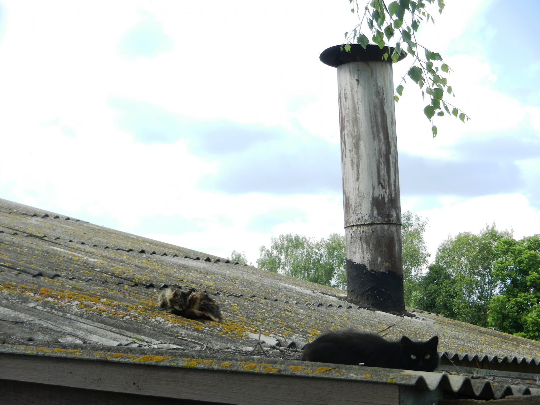 DSCN1426.JPG