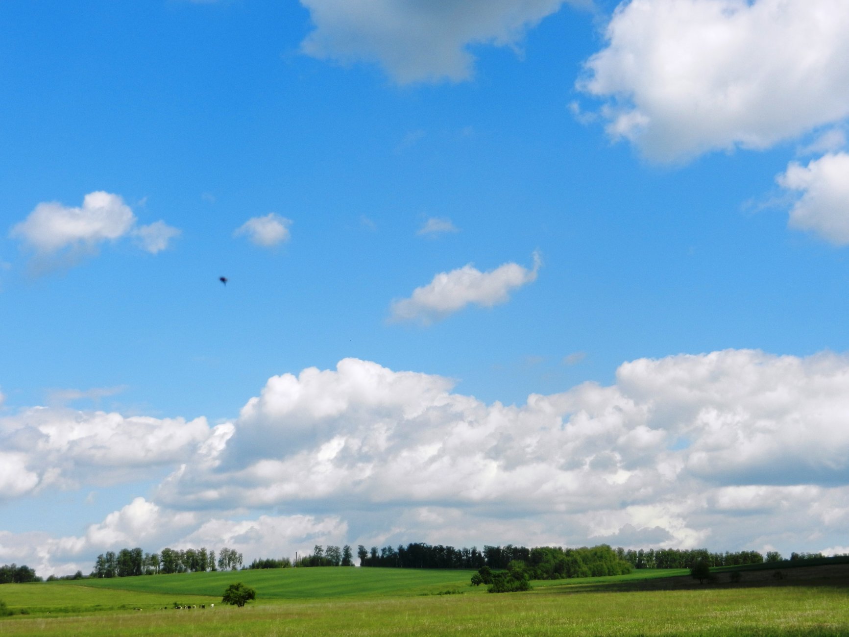 DSCN1435.JPG