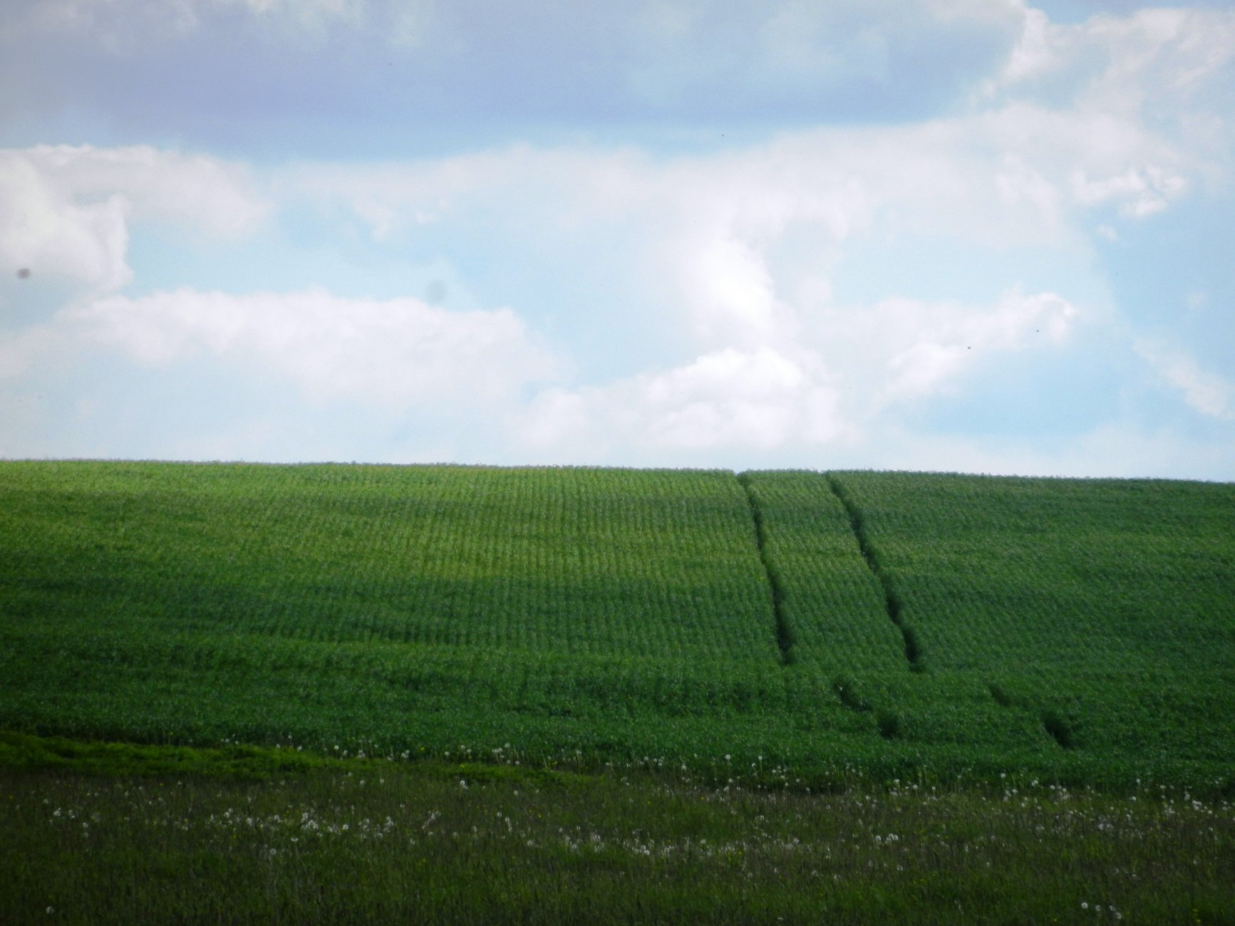 DSCN1437.JPG