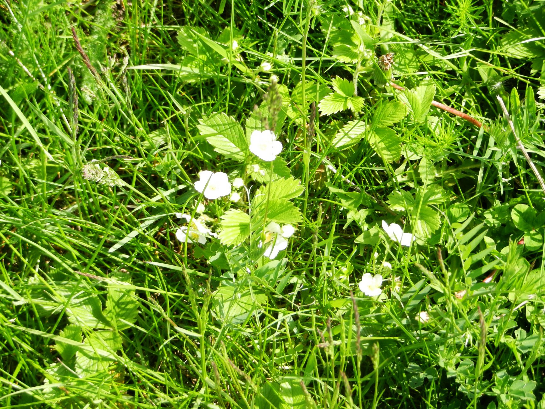 DSCN1438.JPG