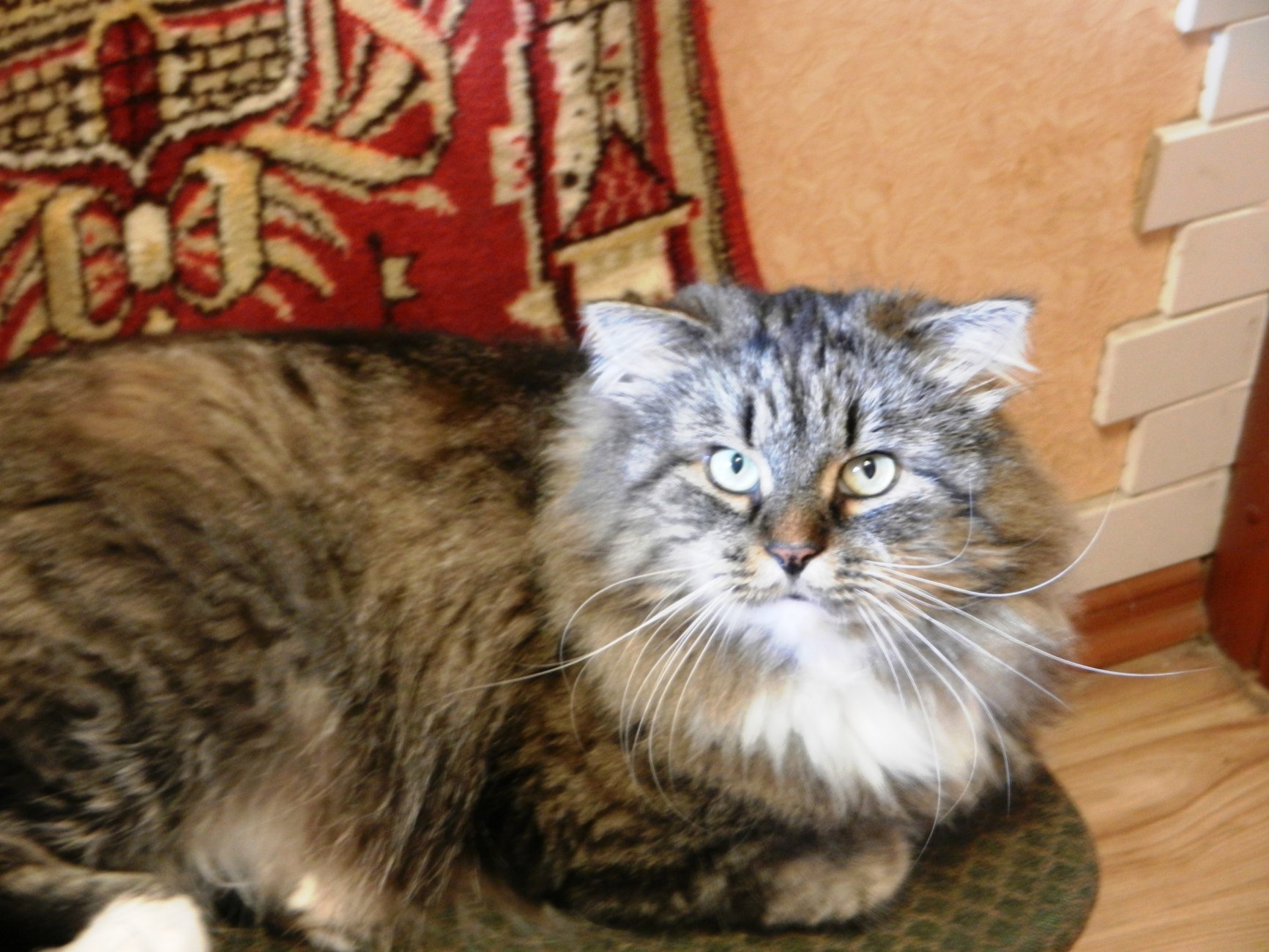 DSCN1520.JPG