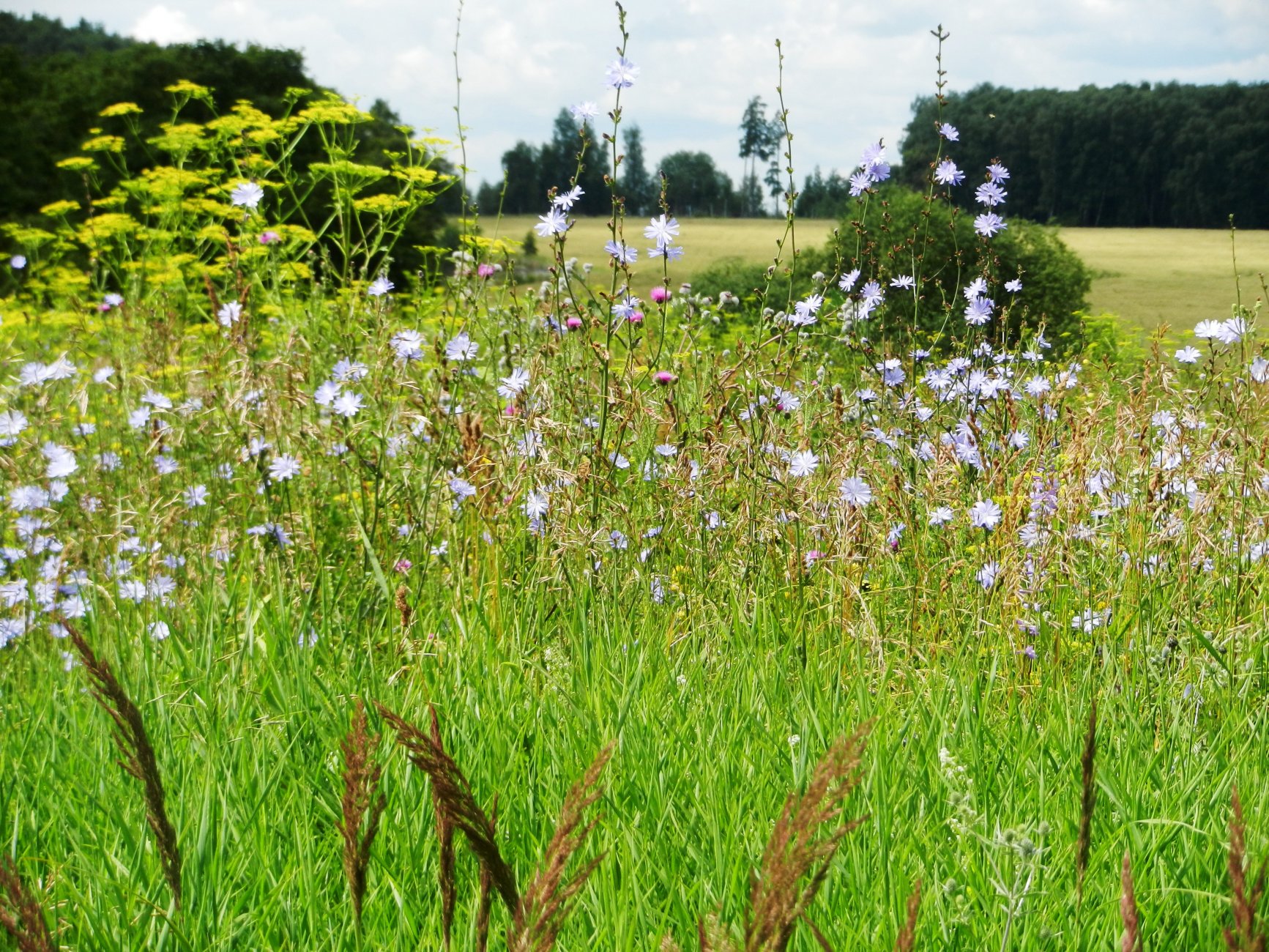 DSCN1600.JPG