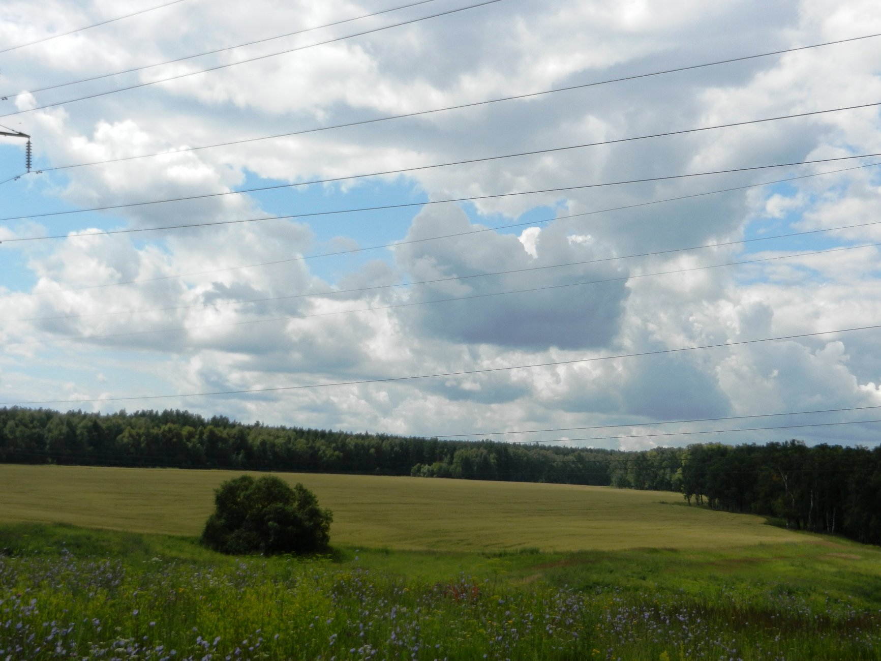 DSCN1605.JPG