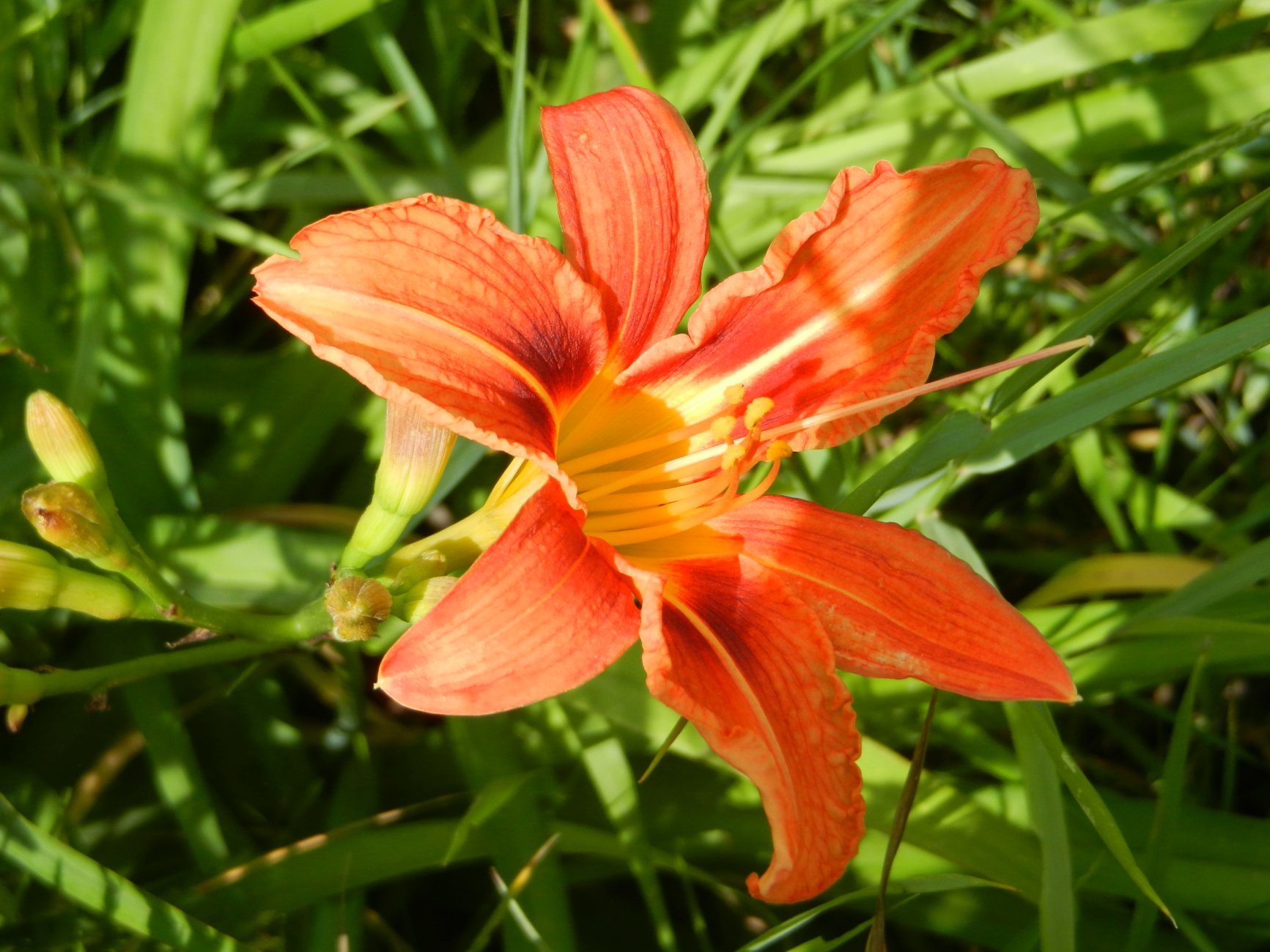 DSCN1614.JPG