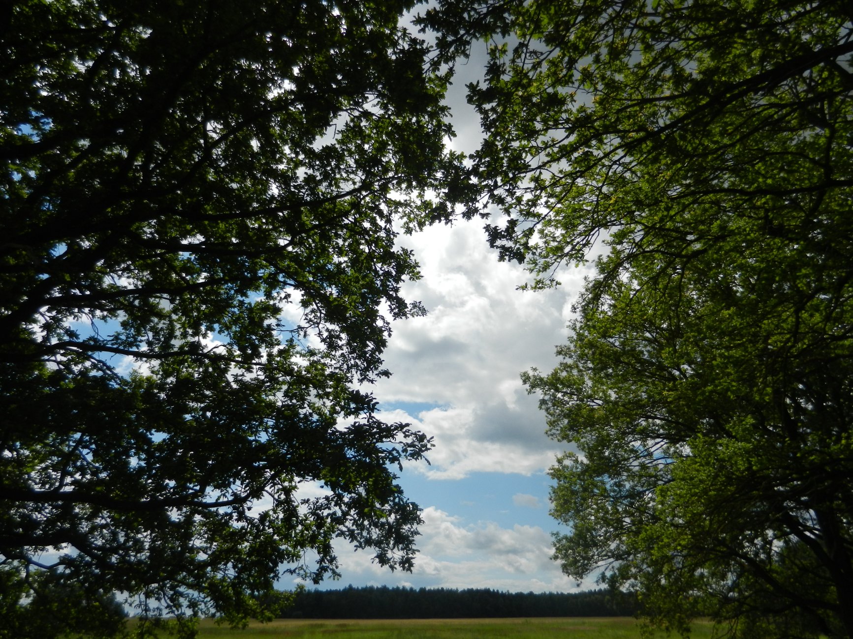 DSCN1622.JPG