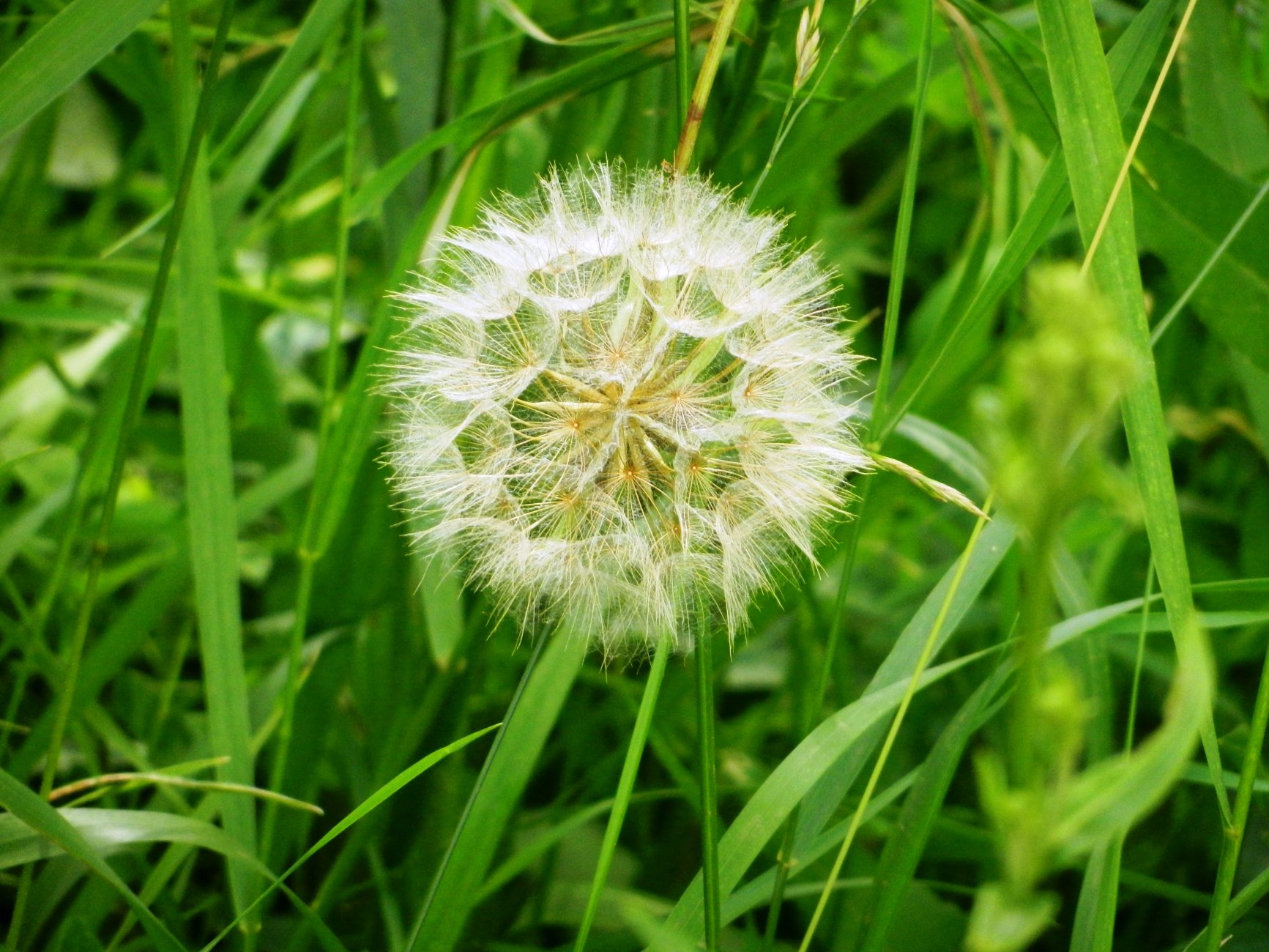DSCN1625.JPG