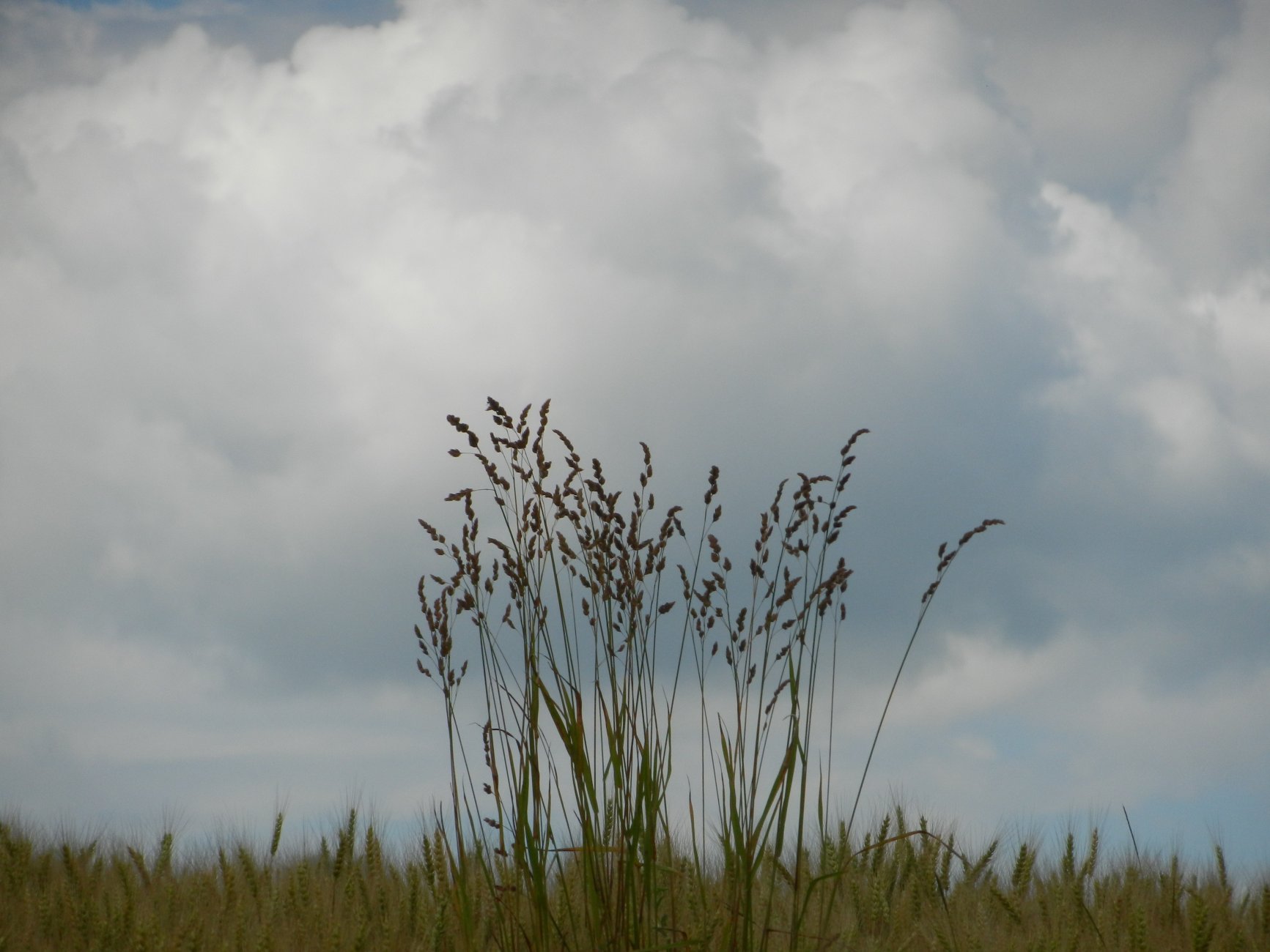 DSCN1633.JPG