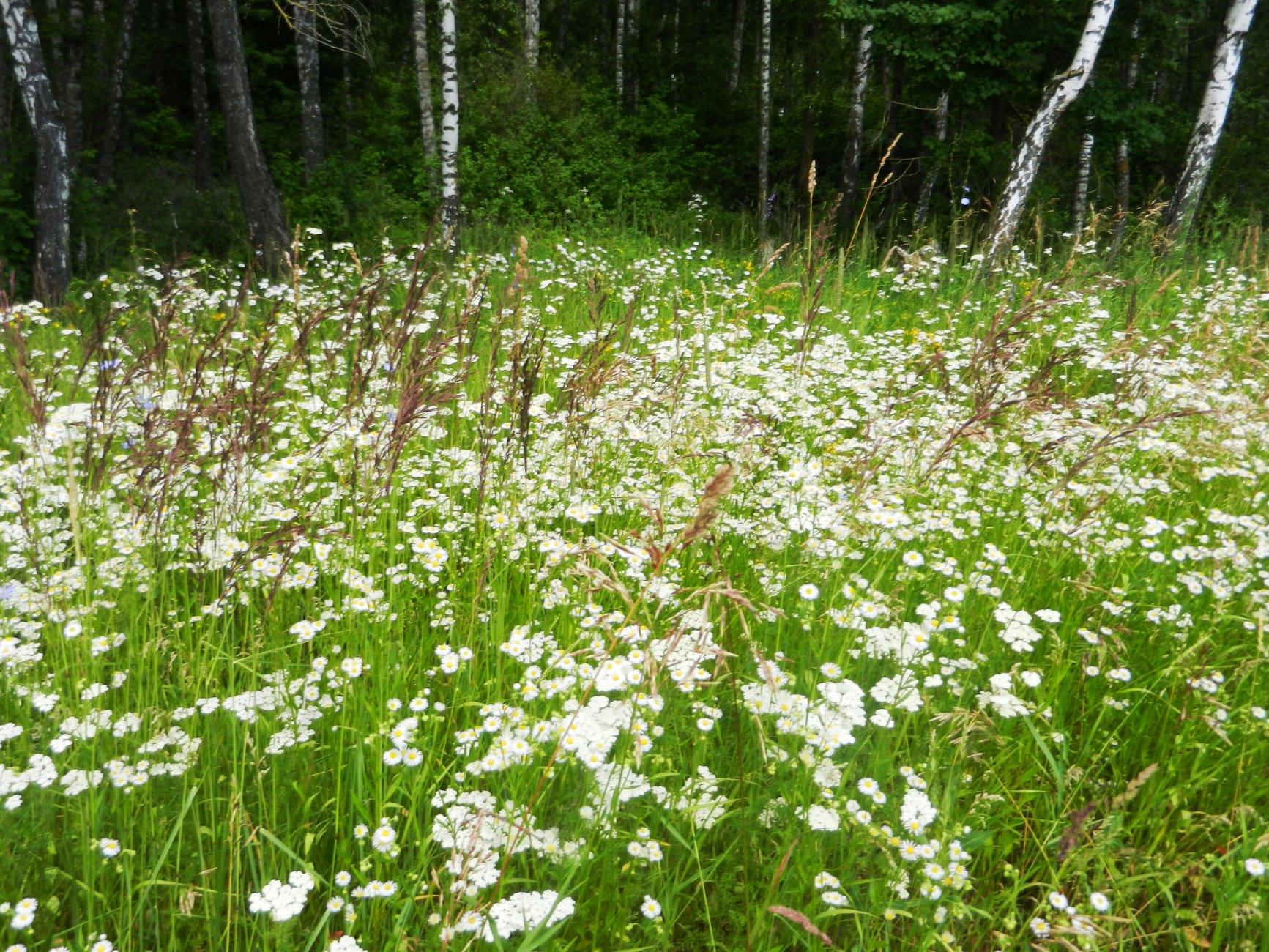 DSCN1688.JPG