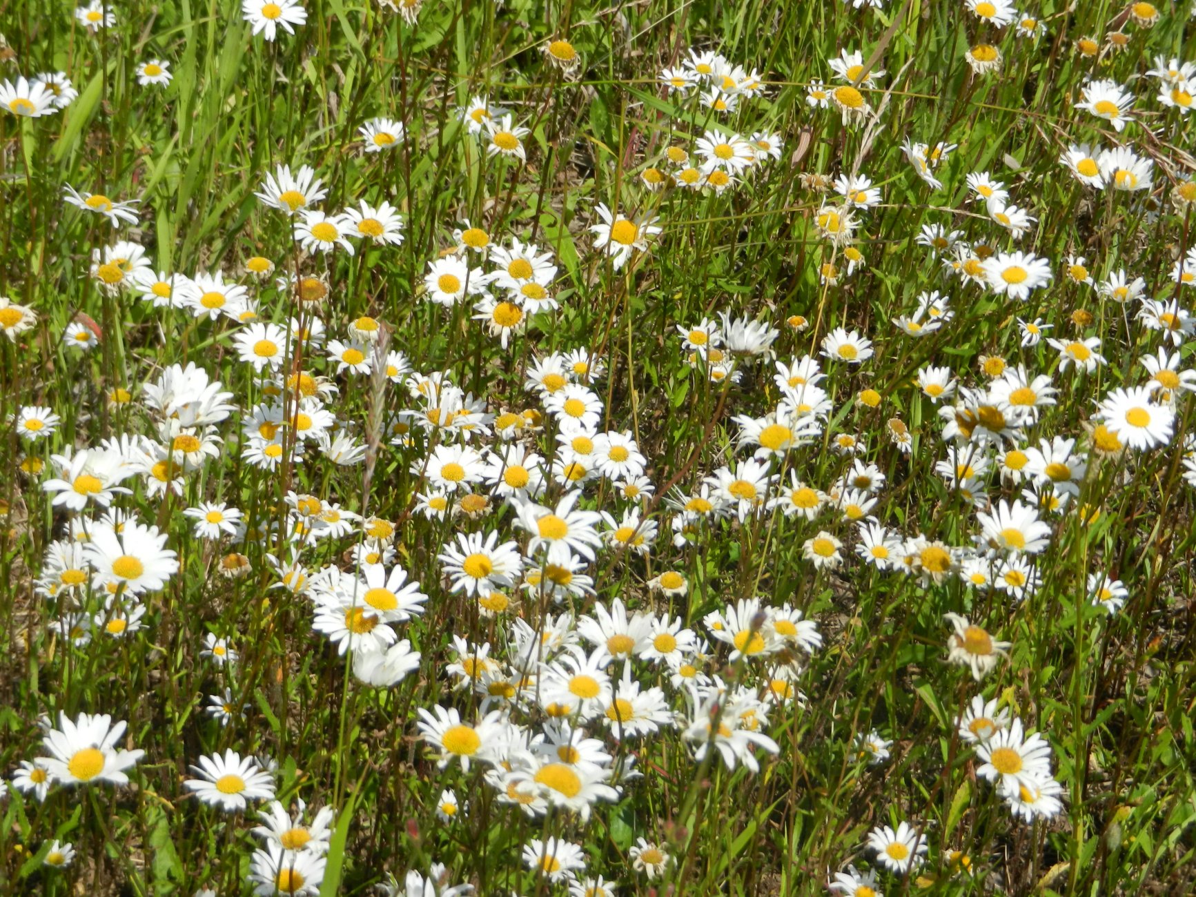 DSCN1701.JPG